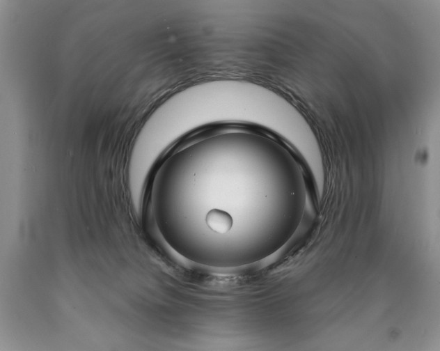 X0000090440084200707201302