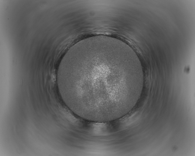 X0000090440085200707201302