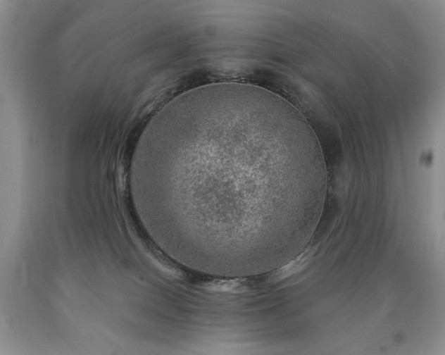 X0000090440086200707201302