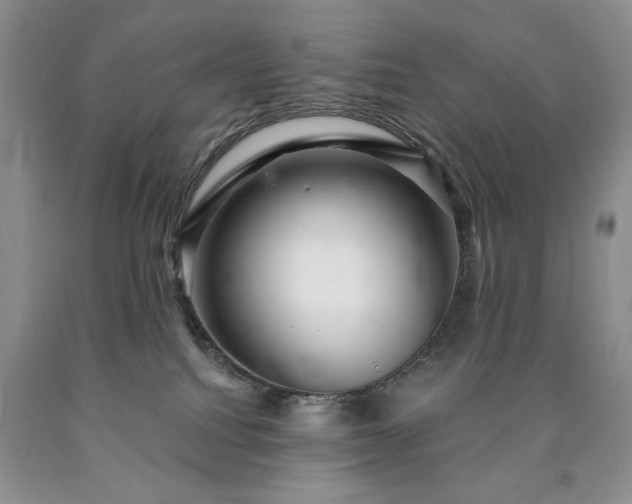 X0000090440088200707201302