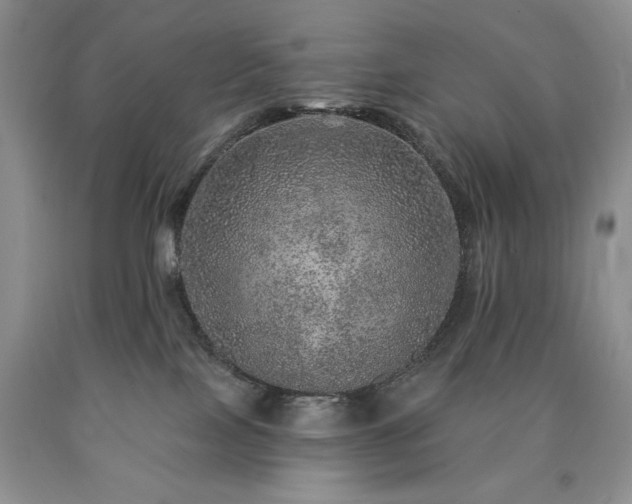 X0000090440089200707201302