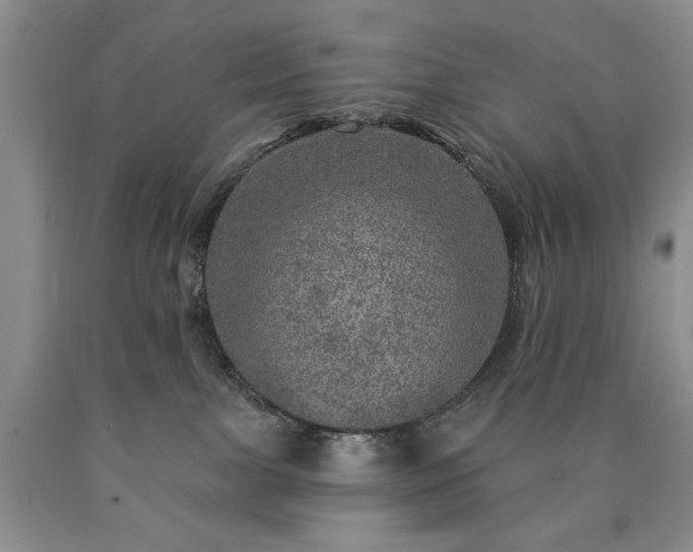 X0000090440091200707201302