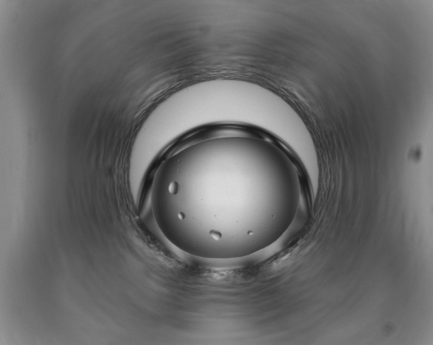 X0000090440092200707201302