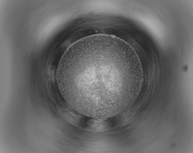 X0000090440093200707201302