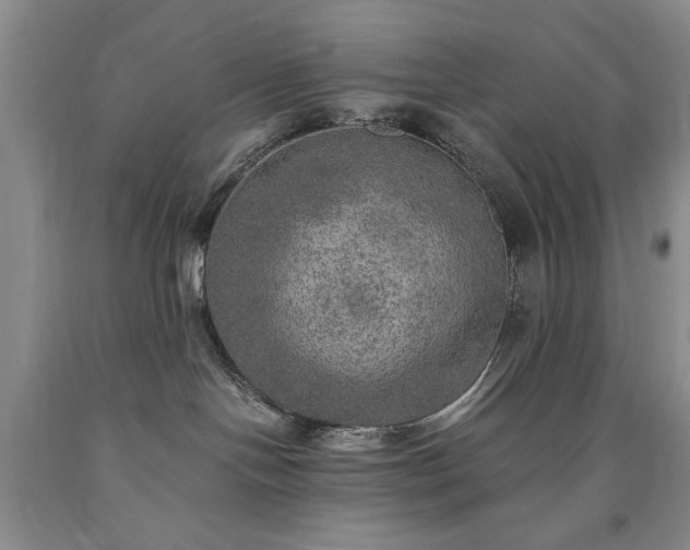 X0000090440094200707201302