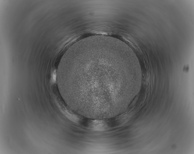 X0000090440095200707201302