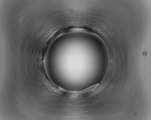 X0000090440096200707201302