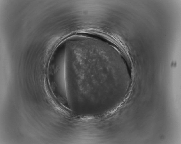 X0000090440097200707201301