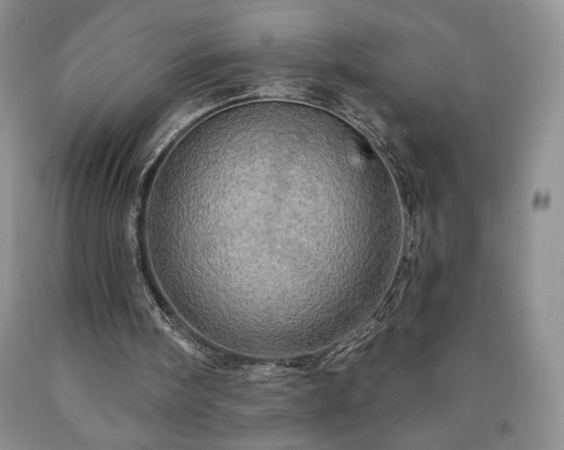 X0000090440098200707201301