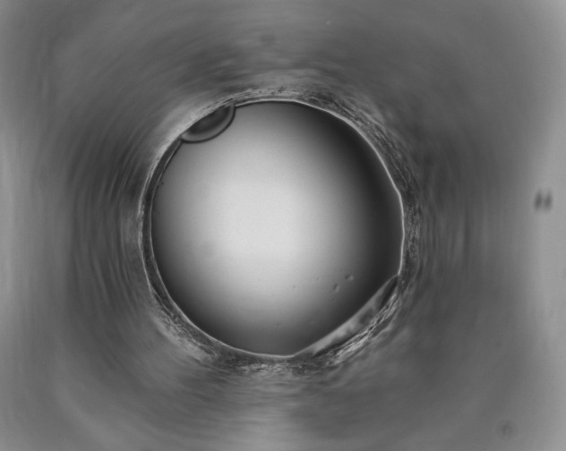 X0000090440100200707201301