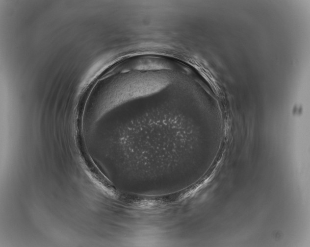 X0000090440101200707201301