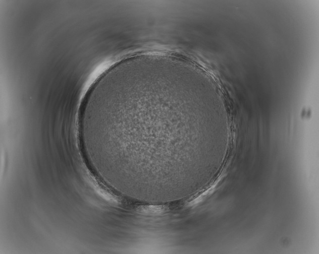 X0000090440102200707201301