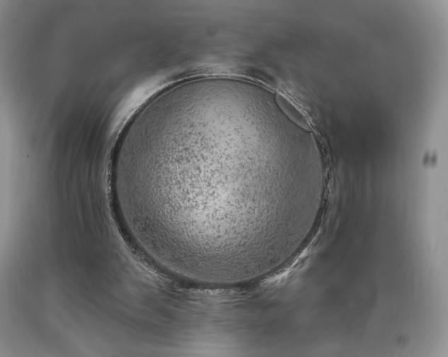 X0000090440103200707201301