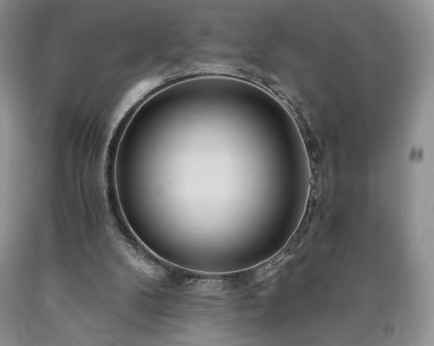 X0000090440104200707201301