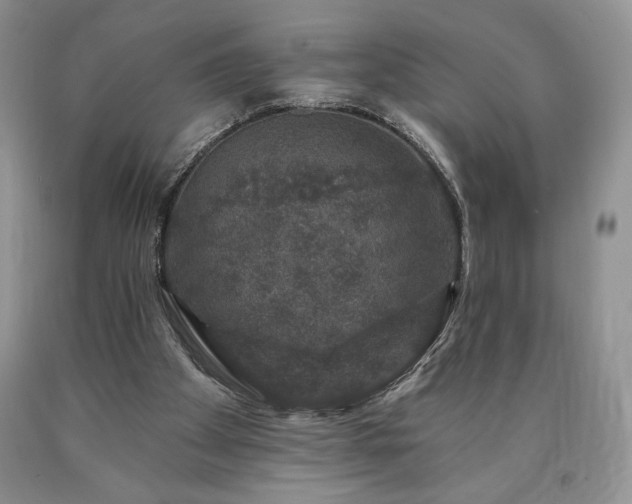 X0000090440105200707201301