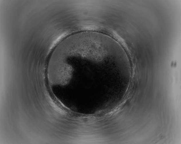 X0000090440106200707201301