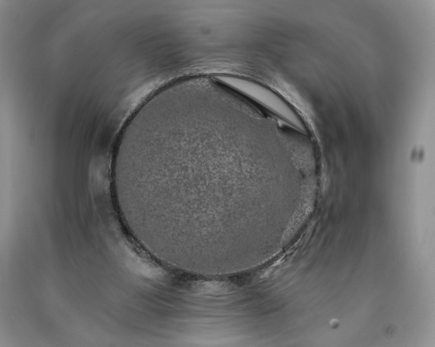 X0000090440107200707201301