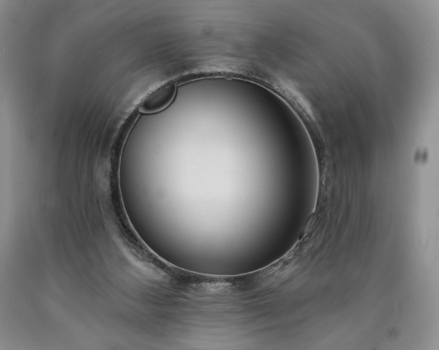 X0000090440108200707201301