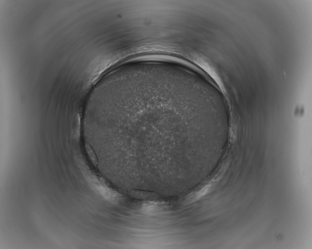 X0000090440109200707201301