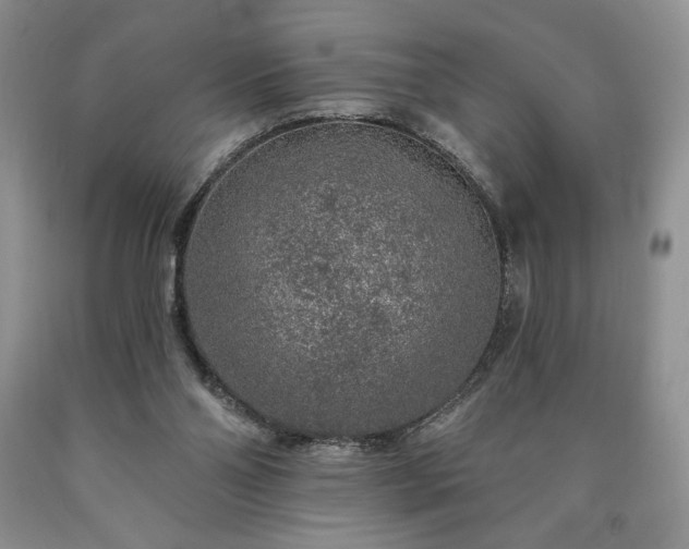 X0000090440110200707201301