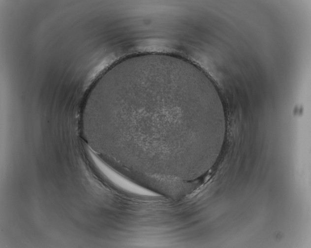 X0000090440111200707201301