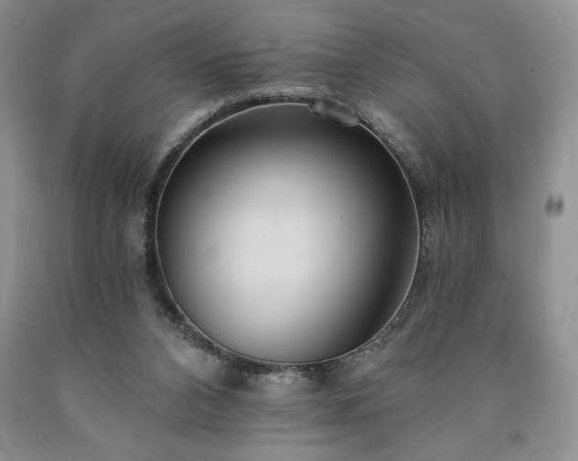 X0000090440112200707201301