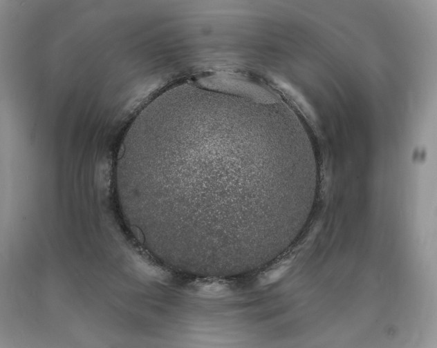 X0000090440113200707201301