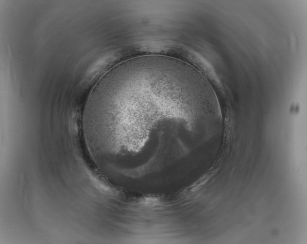 X0000090440114200707201301