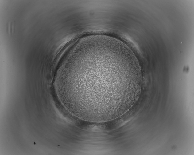 X0000090440115200707201301