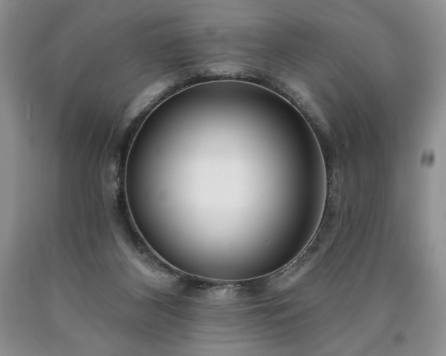 X0000090440116200707201301