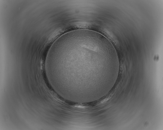 X0000090440117200707201301