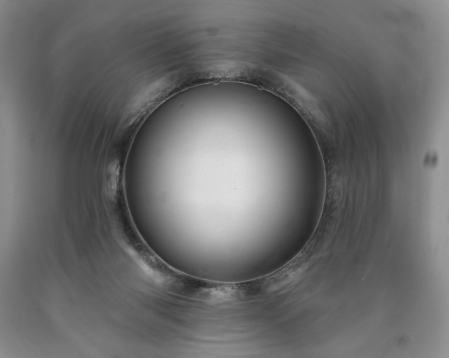 X0000090440118200707201301