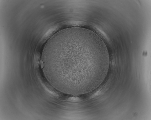 X0000090440119200707201301