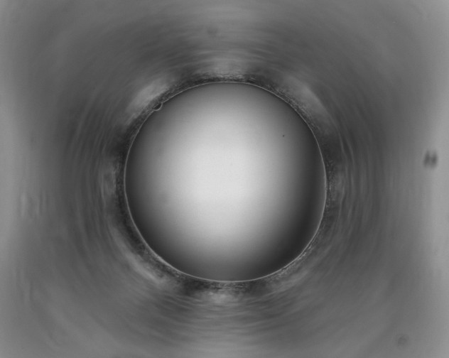 X0000090440120200707201301