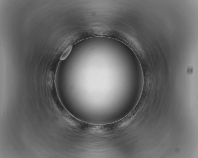 X0000090440121200707201301