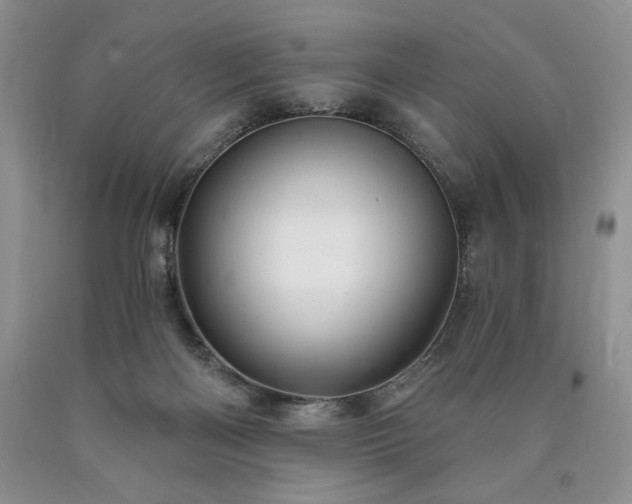 X0000090440122200707201301