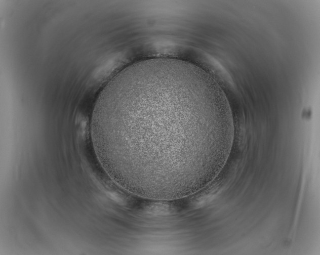 X0000090440123200707201301