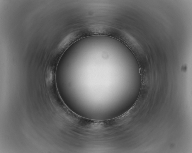 X0000090440124200707201301