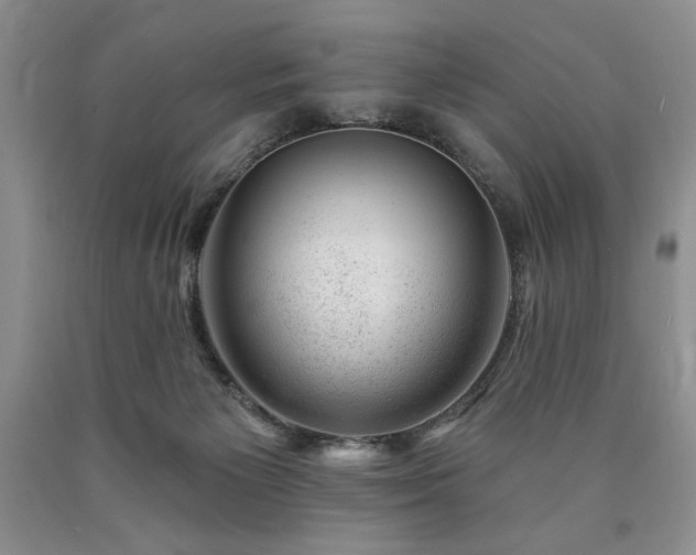 X0000090440125200707201301