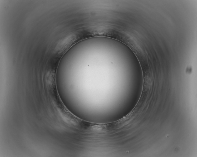 X0000090440126200707201301