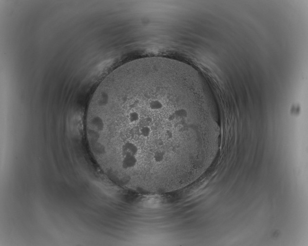 X0000090440127200707201301