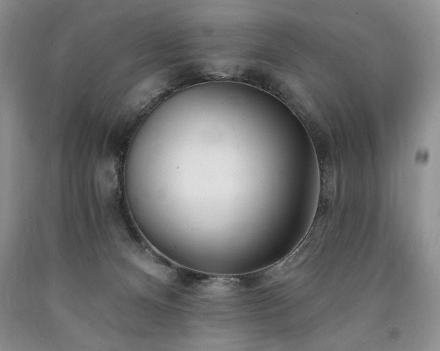 X0000090440128200707201301