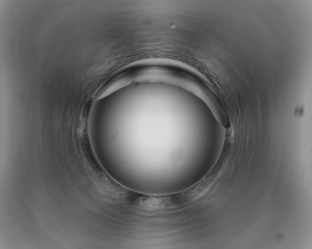 X0000090440129200707201301