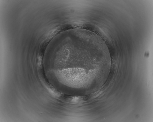 X0000090440130200707201301