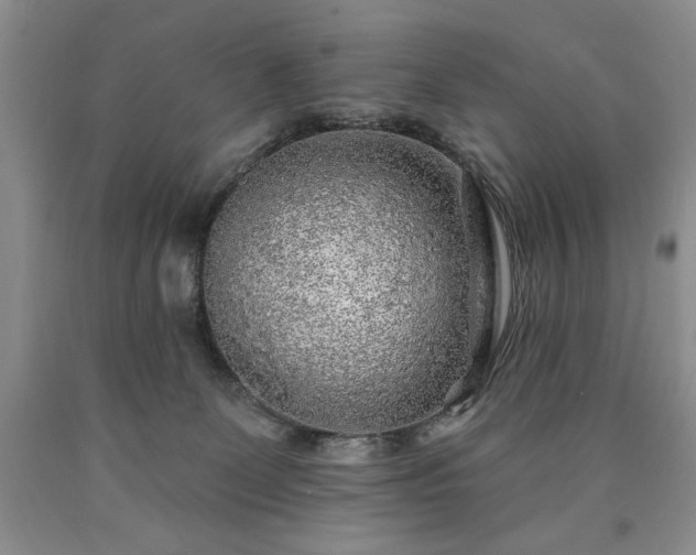 X0000090440131200707201301