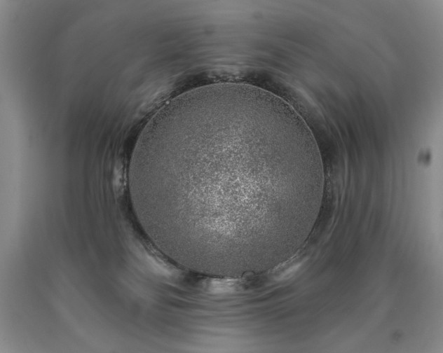 X0000090440134200707201301