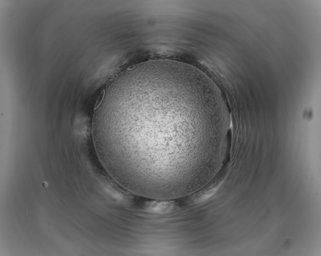 X0000090440135200707201301