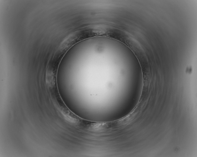 X0000090440136200707201301