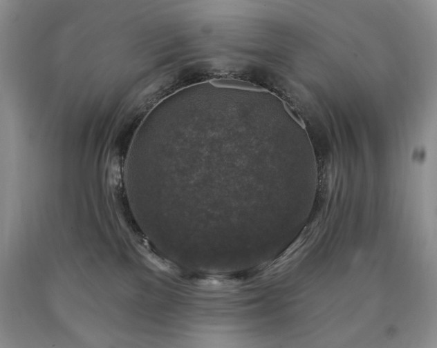 X0000090440137200707201301