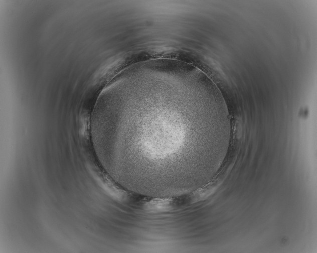 X0000090440138200707201301